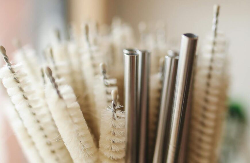 Einkaufswagen mit Grundnahrungsmitteln - Mehrwertsteuer Senkung Juli 2026