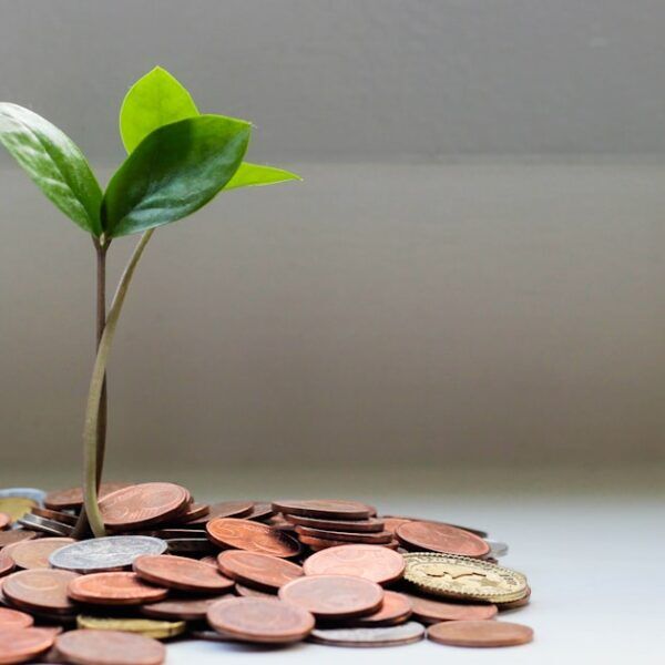 AMS-Zuverdienst und Geringfügigkeit 2026: Die neuen Regeln im…