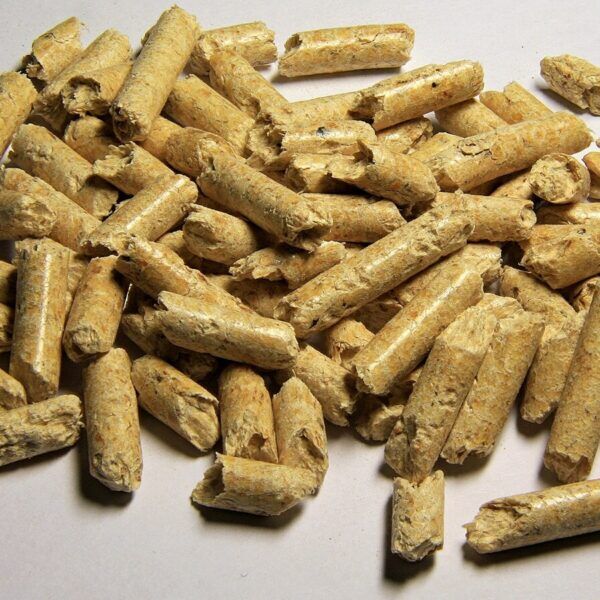 Holzpellets als Symbol für steigende Heizkosten und Pelletpreise in Österreich