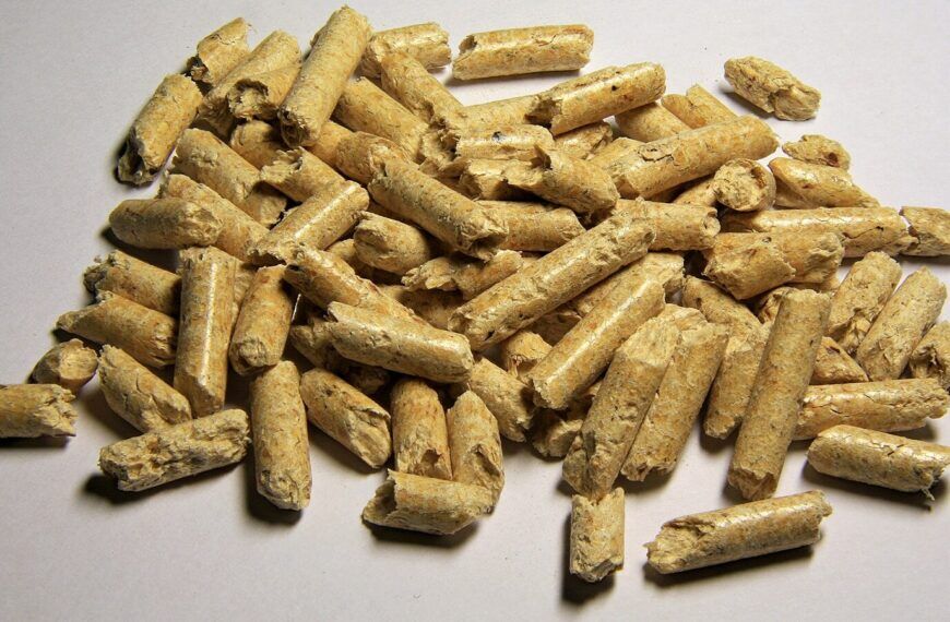 Holzpellets als Symbol für steigende Heizkosten und Pelletpreise in Österreich